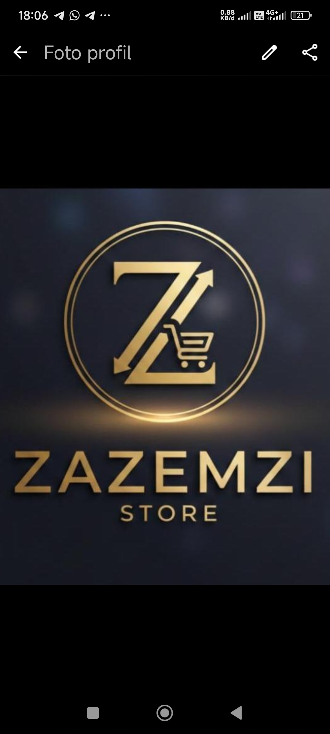 Zazemzi Store
